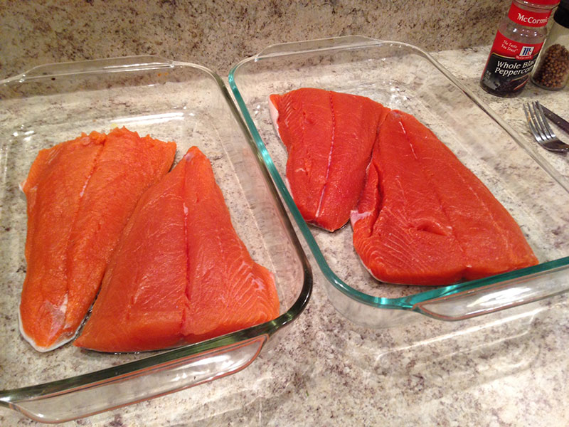 Fresh salmon